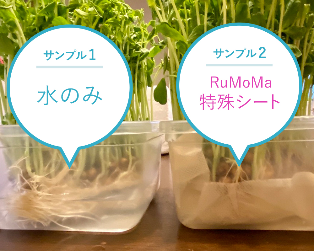 近づいてきたウイルスを退治します！